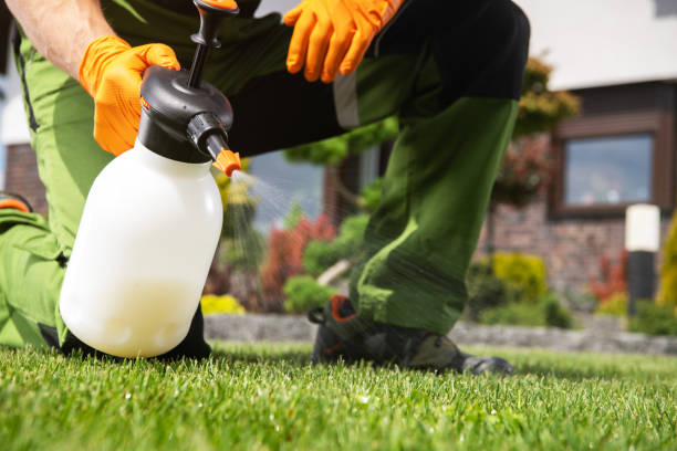 Best Spider Control Near Me  in Kearny, NJ