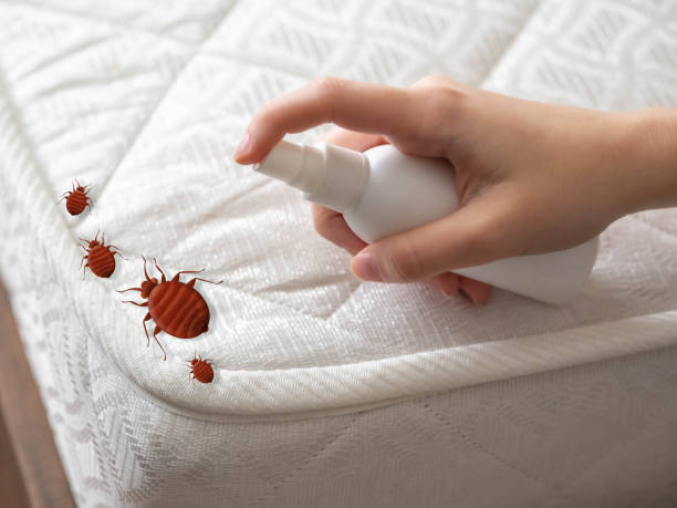 Pest Control Cost in Kearny, NJ