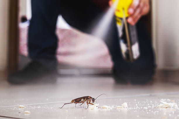 Insect Control in Kearny, NJ