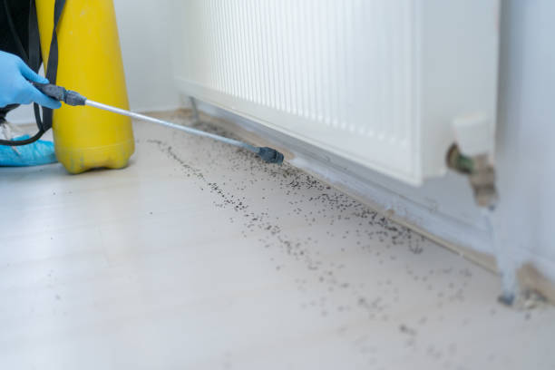 Best Wildlife Control Services  in Kearny, NJ