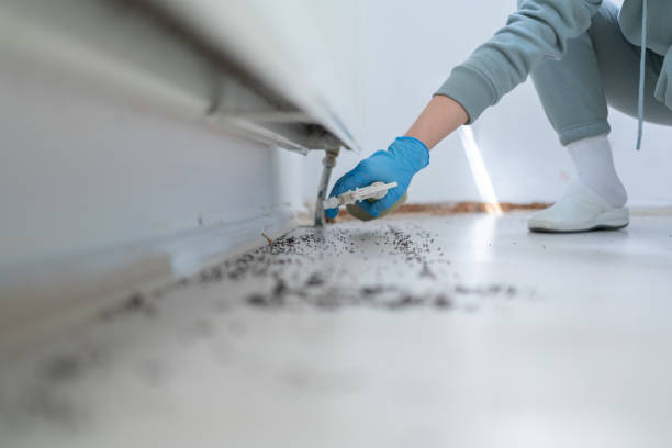 Best Pest Control Near Me in Kearny, NJ